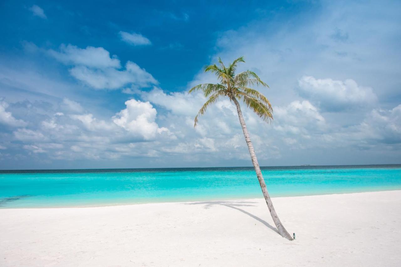 Brickwood Rasdhoo- Beach Front Buitenkant foto